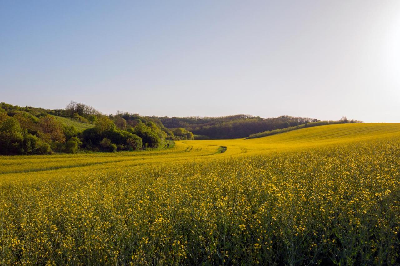 Heroke Vendeghaz Terény Buitenkant foto